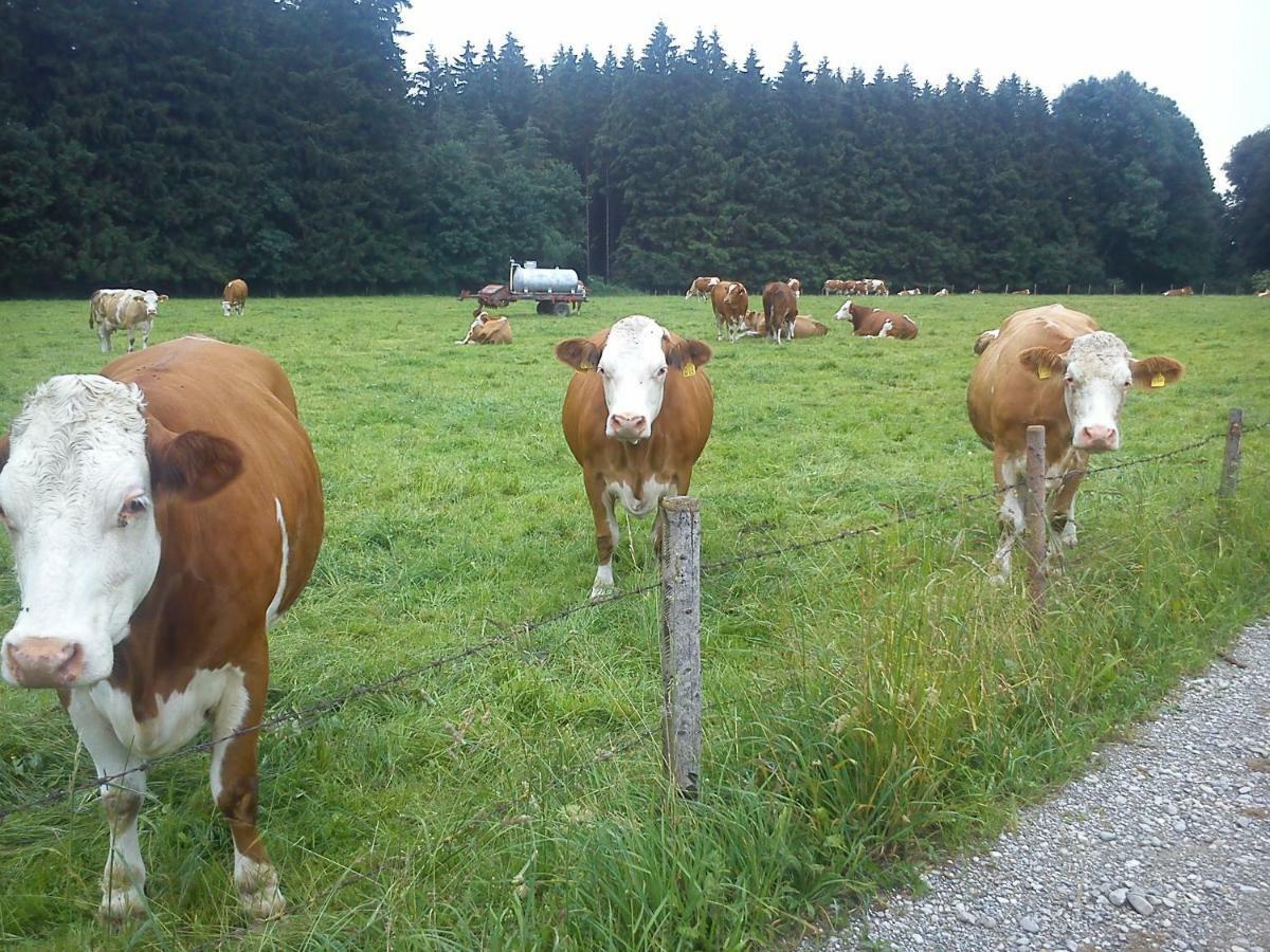 Ferienwohnung Auf Dem Lechsberg Fuchstal Esterno foto